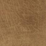 Cortnie Pillow - Image 5