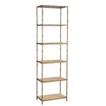 Anubis Shelf 2893AC73