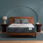 Beautyrest Harmony Lux Hybrid Ocean View Island Firm Mattress - Image 2