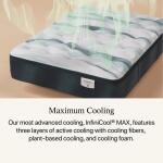 Beautyrest Harmony Lux Hybrid Ocean View Island Firm Mattress - Image 4