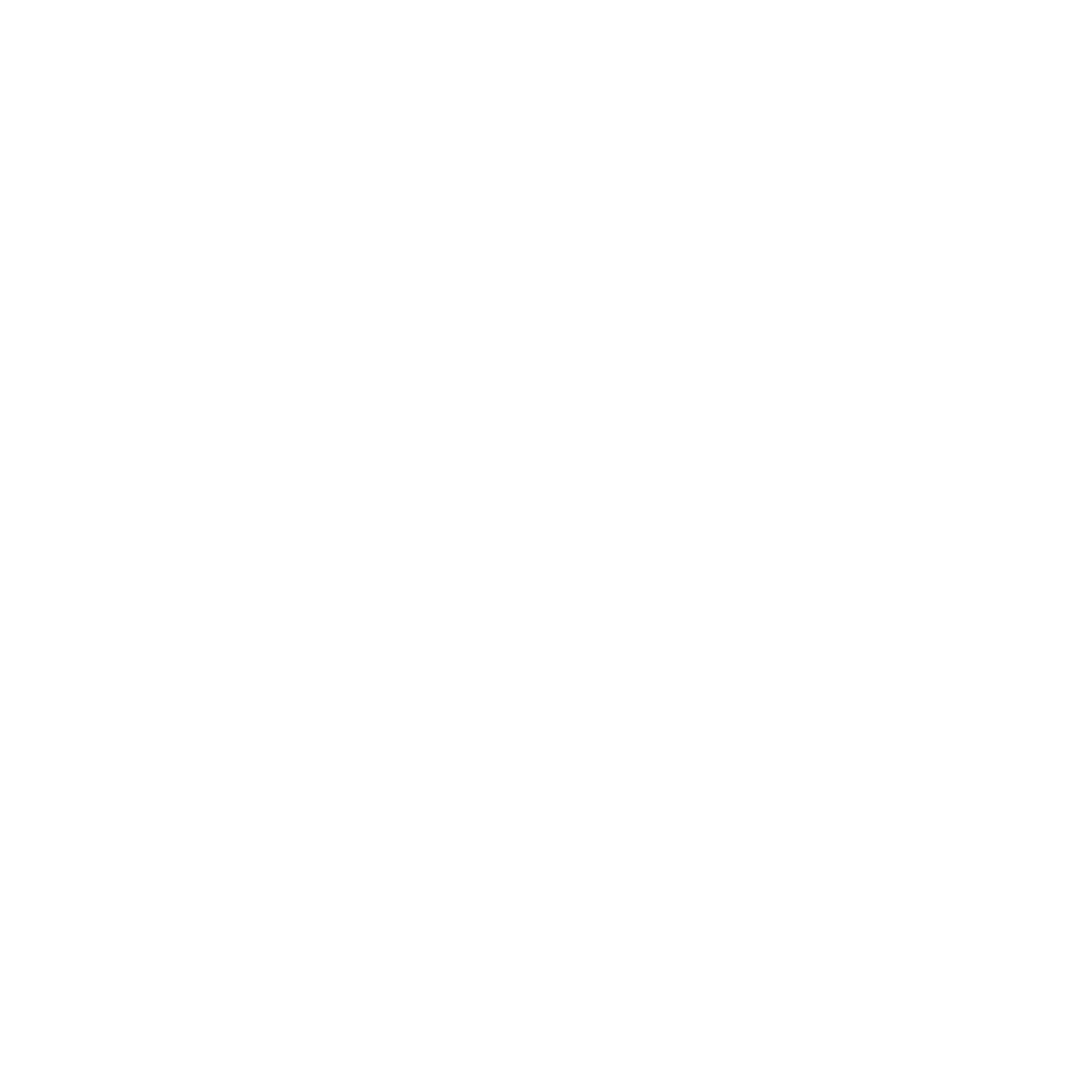 Financing